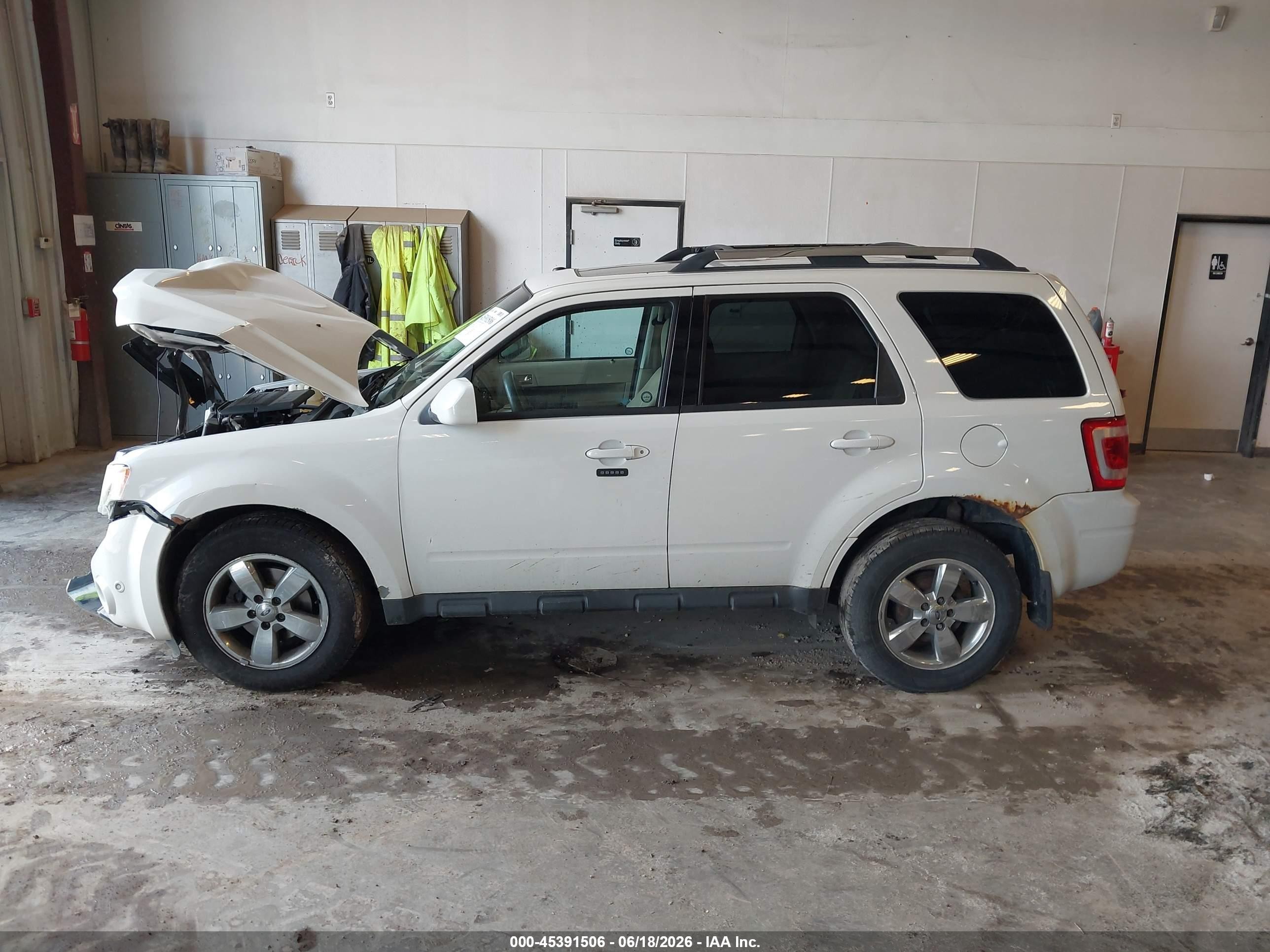 2010 Ford Escape Limited White vin: 1FMCU9EG7AKC39526