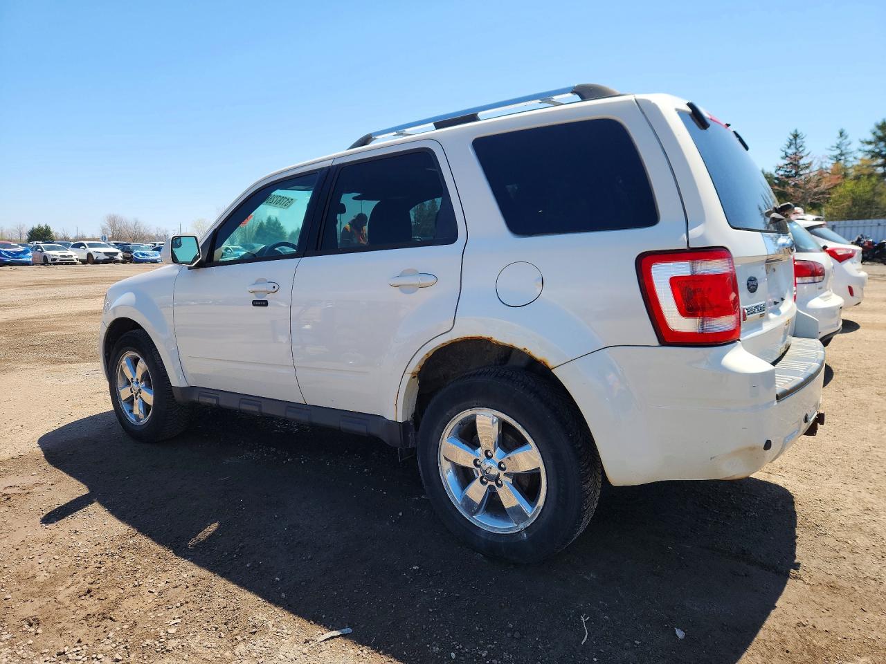 2012 Ford Escape Limited White vin: 1FMCU9EG7CKC30196