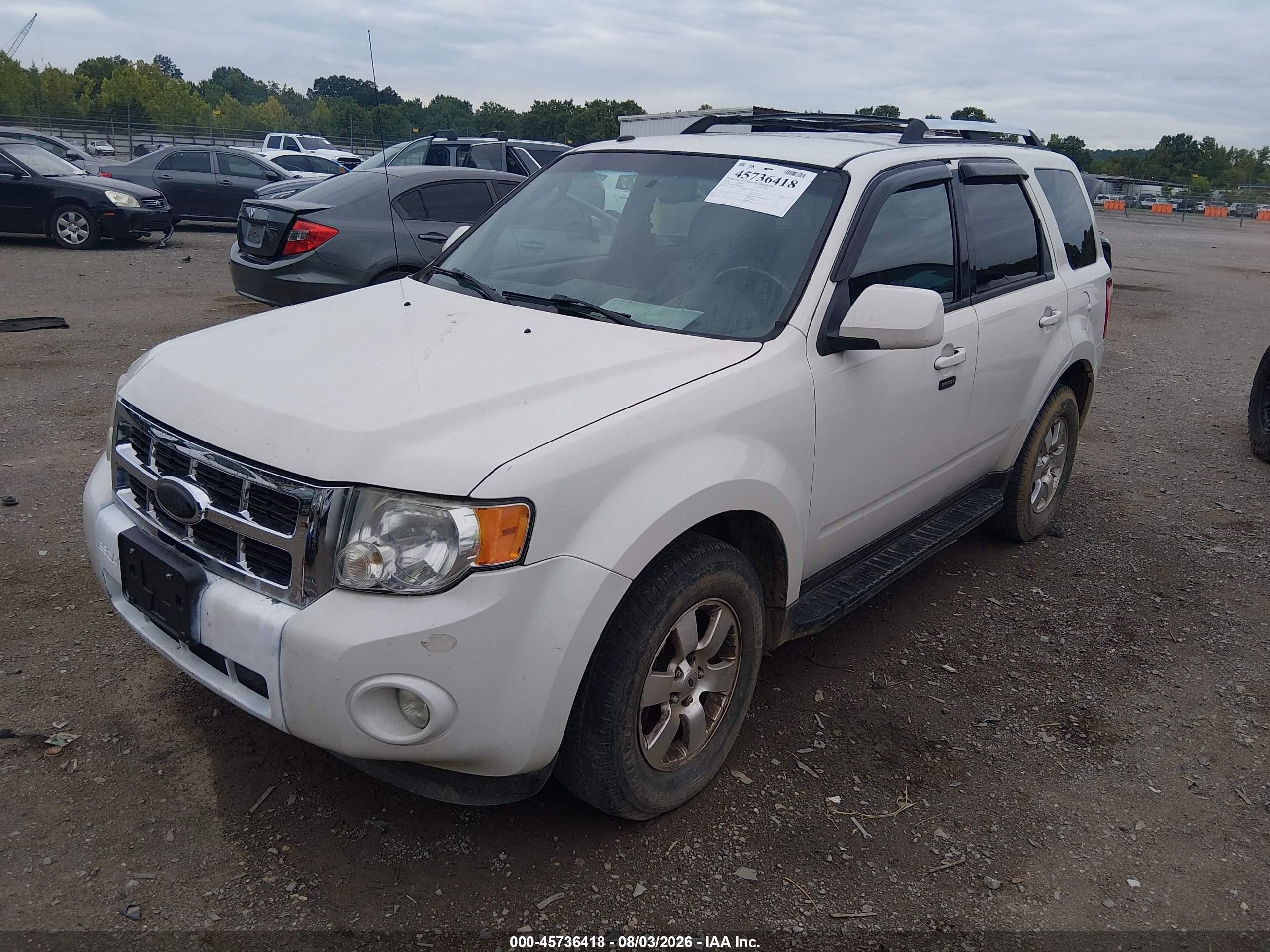 2010 Ford Escape Limited White vin: 1FMCU9EG8AKC91294