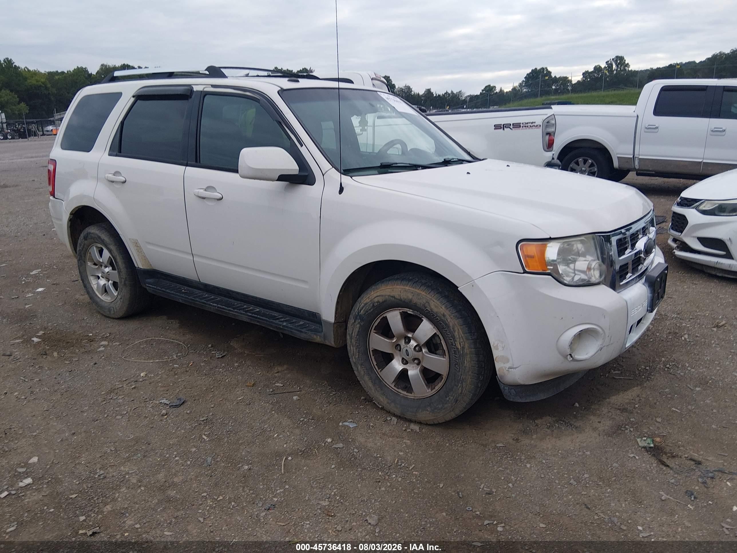 2010 Ford Escape Limited White vin: 1FMCU9EG8AKC91294