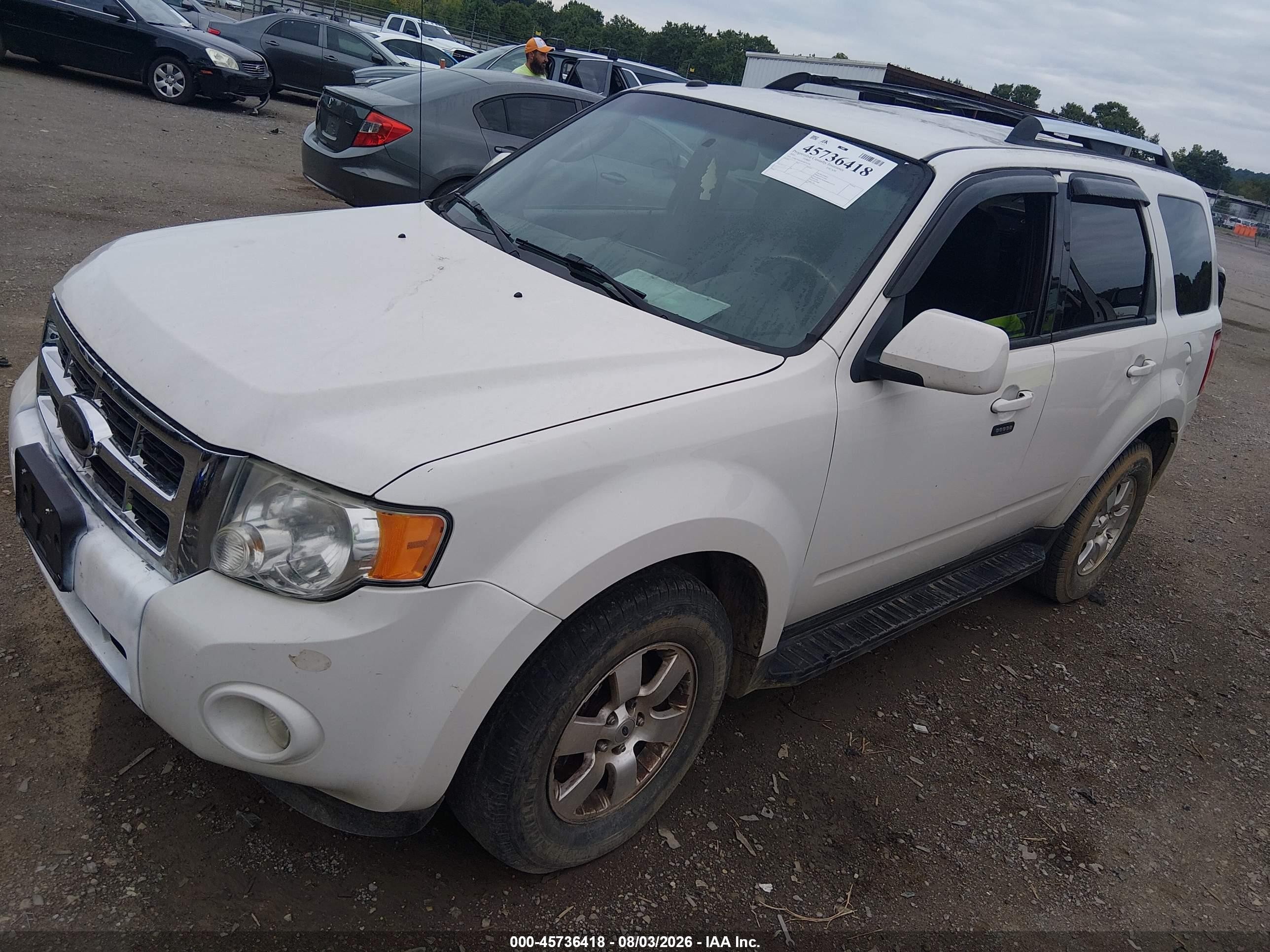 2010 Ford Escape Limited White vin: 1FMCU9EG8AKC91294