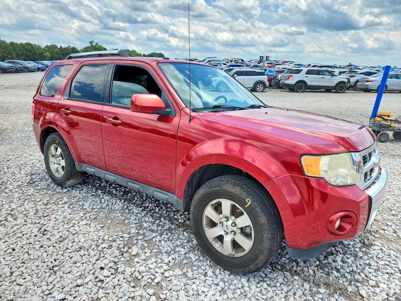 2011 Ford Escape Red vin: 1FMCU9EG8BKB27920