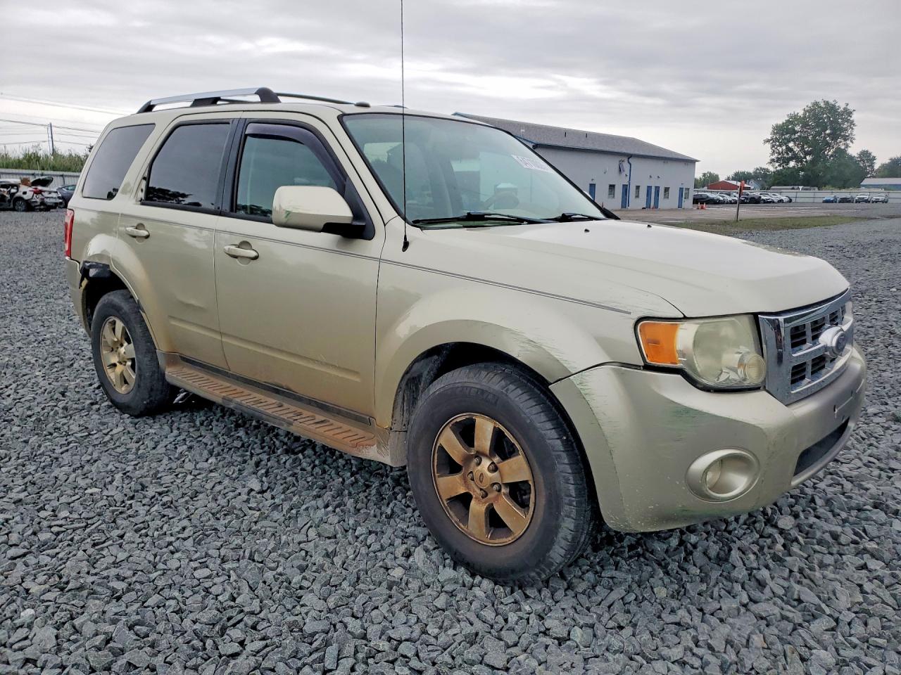 2011 Ford Escape Limited Beige vin: 1FMCU9EG8BKC47328
