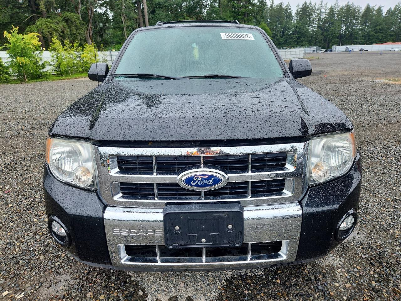 2011 Ford Escape Limited Black vin: 1FMCU9EG9BKA08614