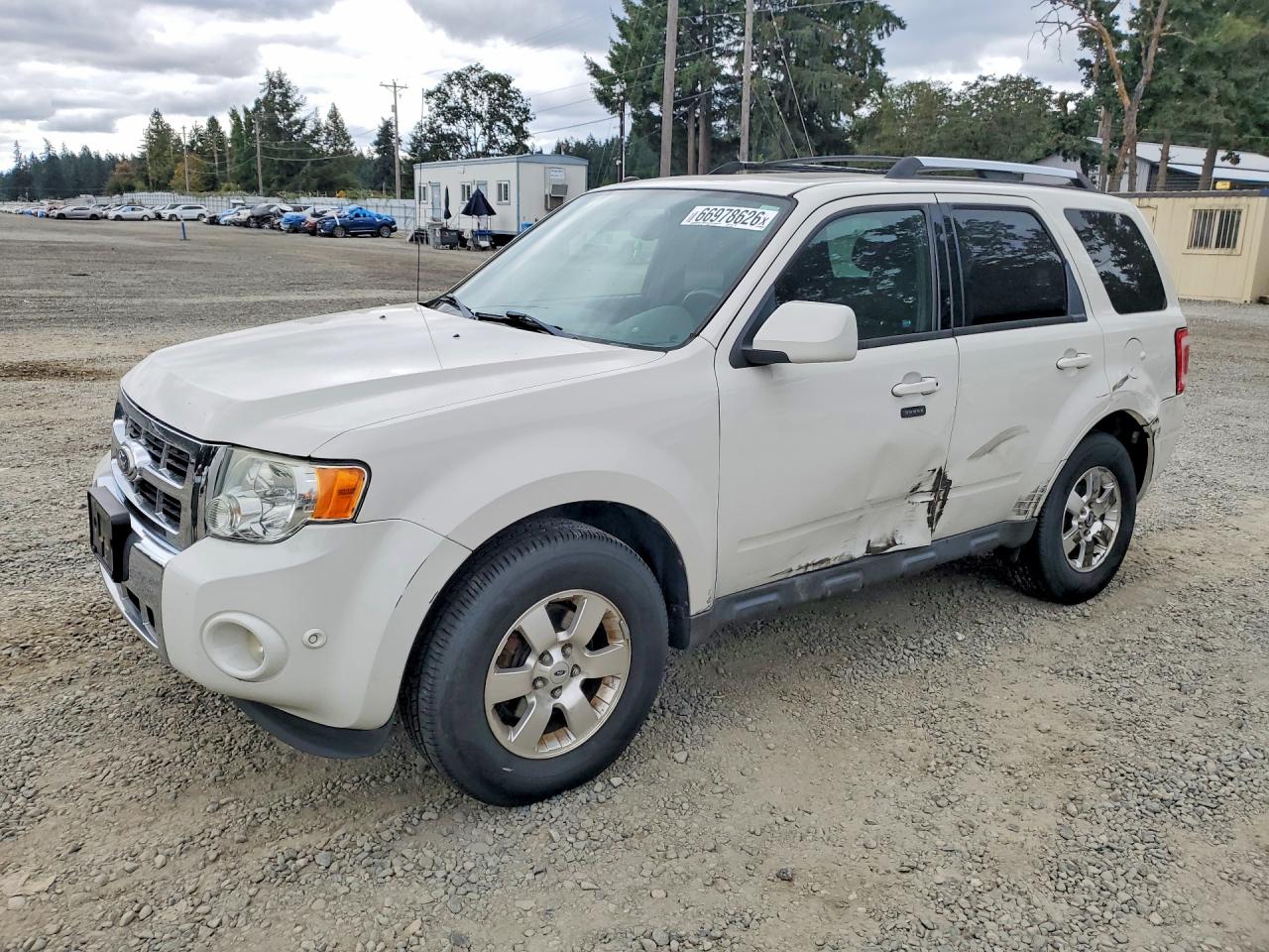 2011 Ford Escape Limited White vin: 1FMCU9EG9BKA74886