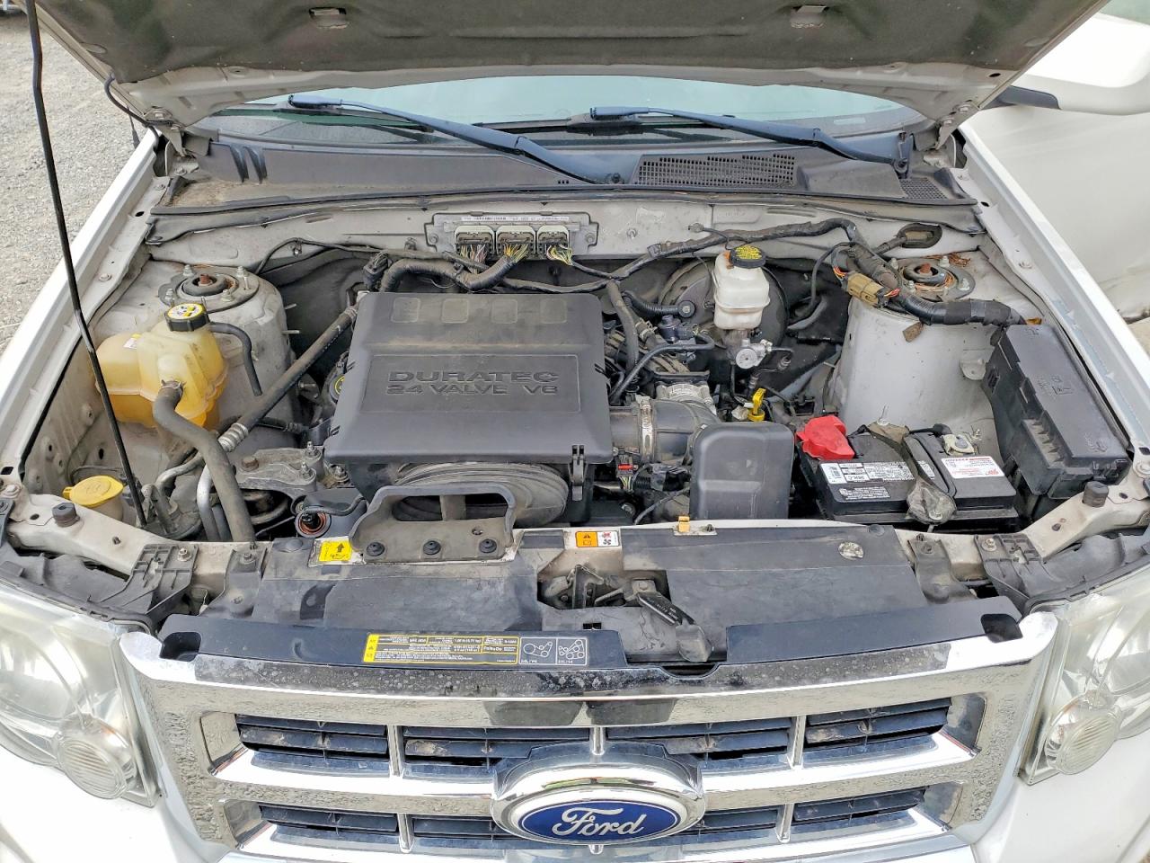 2011 Ford Escape Limited White vin: 1FMCU9EG9BKA74886