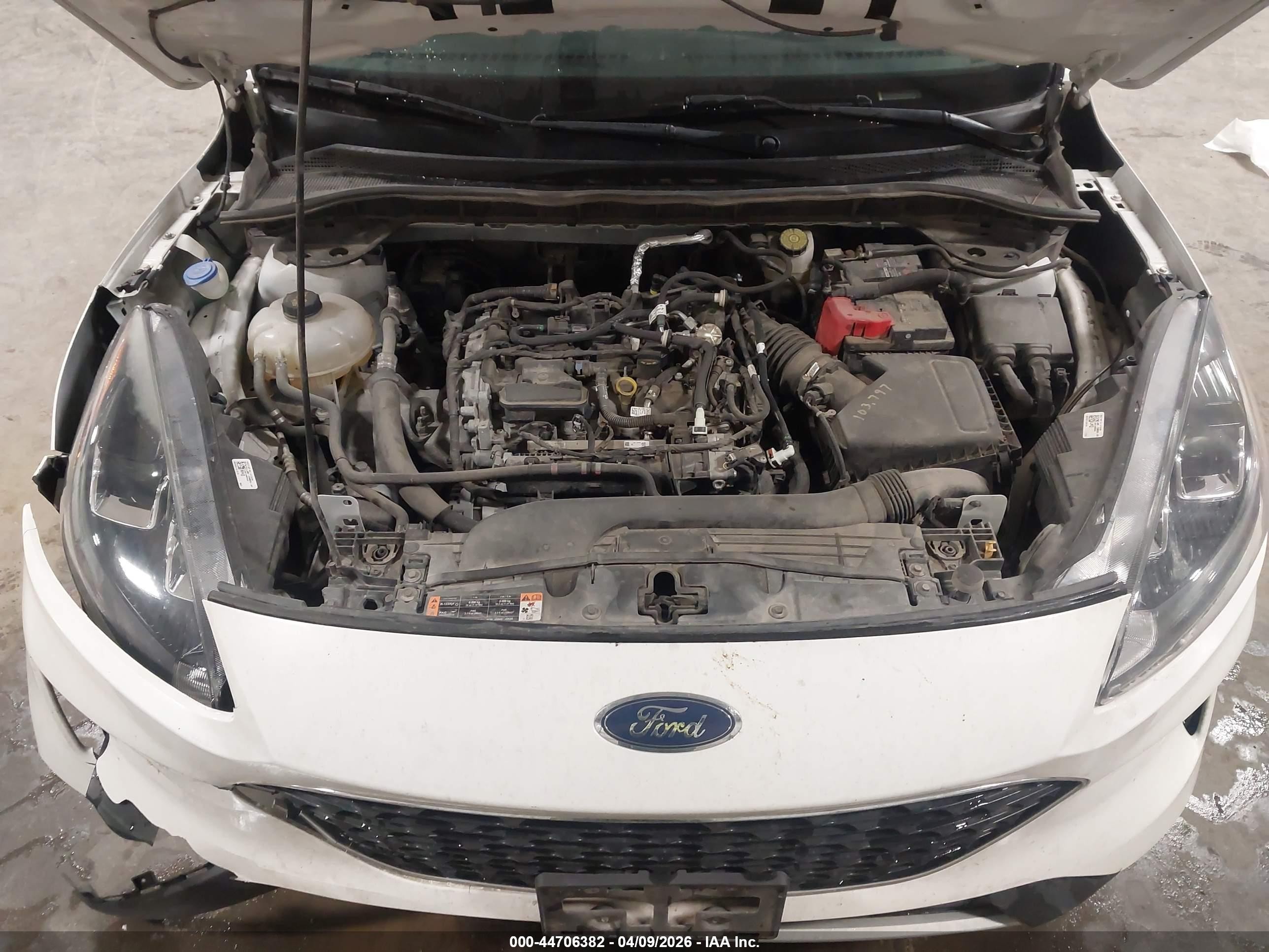 2022 Ford Escape Se Белый vin: 1FMCU9G68NUA60751