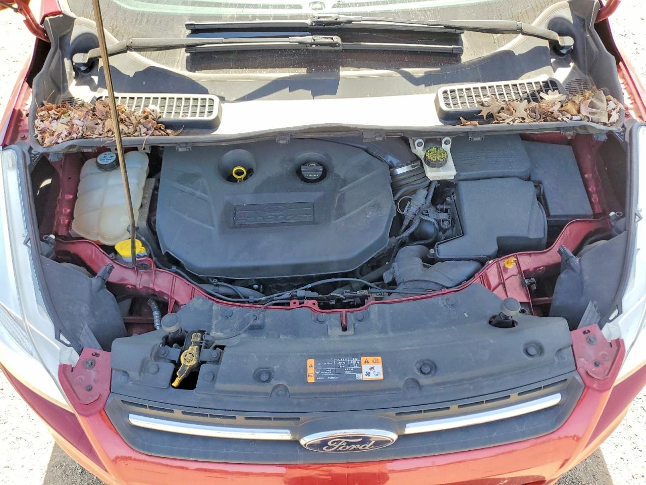 2013 Ford Escape Se Red vin: 1FMCU9G90DUB21308