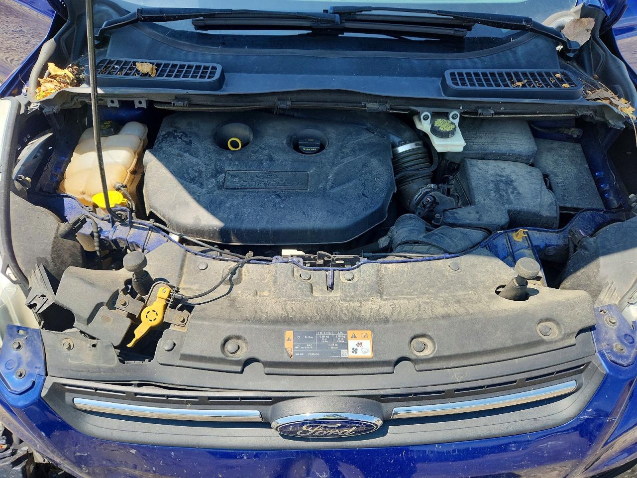 2015 Ford Escape Se Blue vin: 1FMCU9G90FUA10079