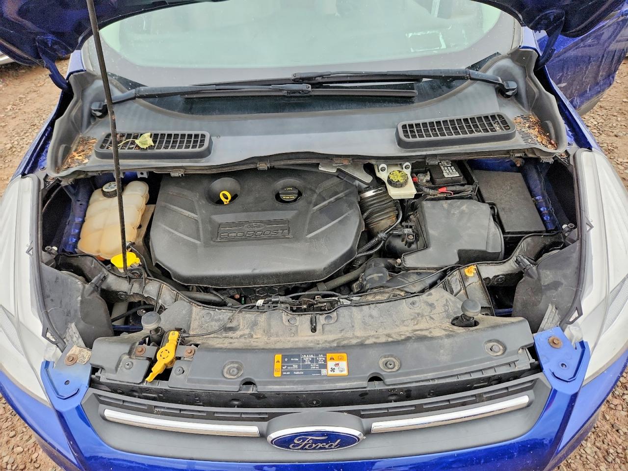 2013 Ford Escape Blue vin: 1FMCU9G92DUA18018