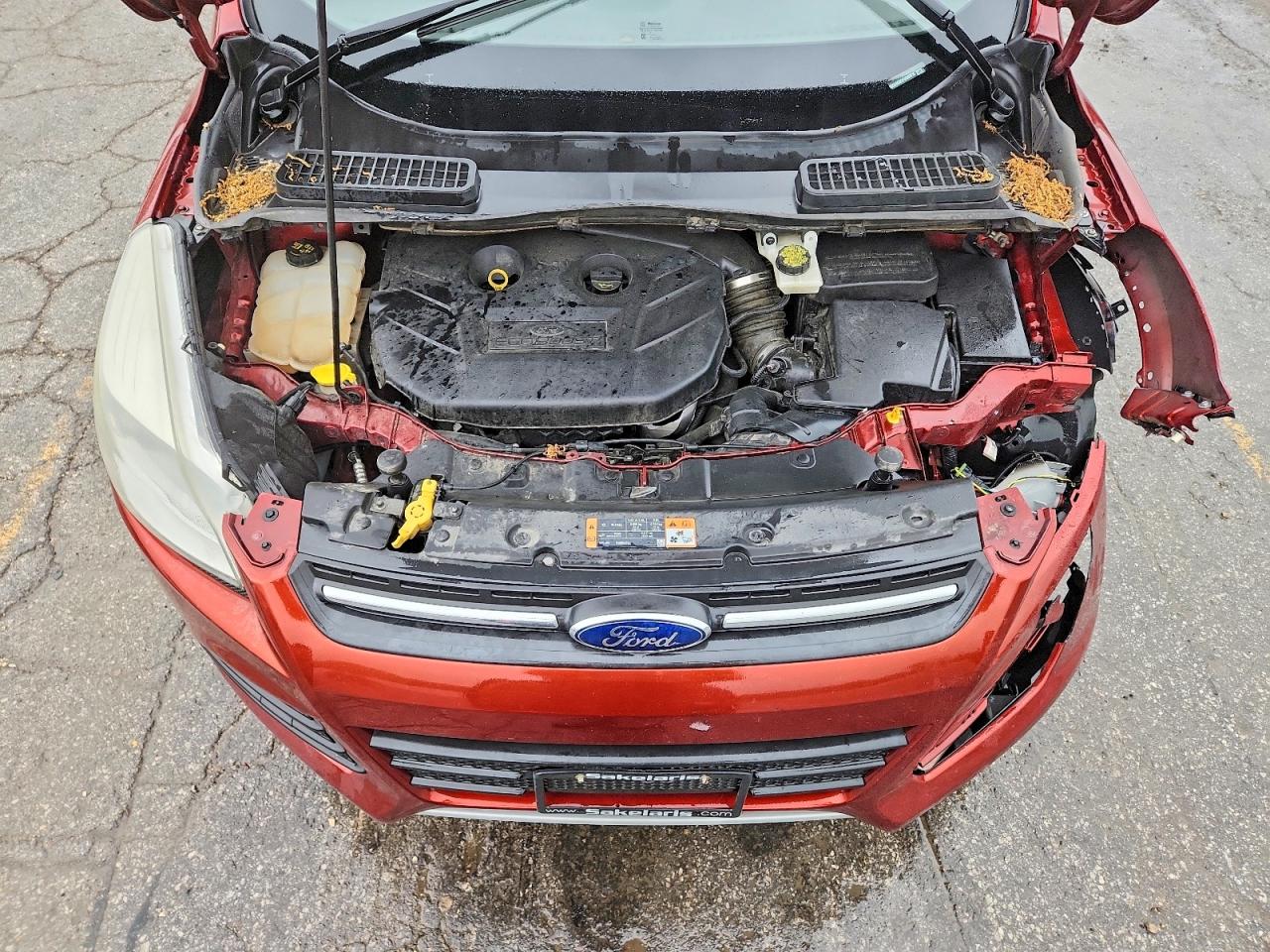 2015 Ford Escape Se Red vin: 1FMCU9G92FUB80816