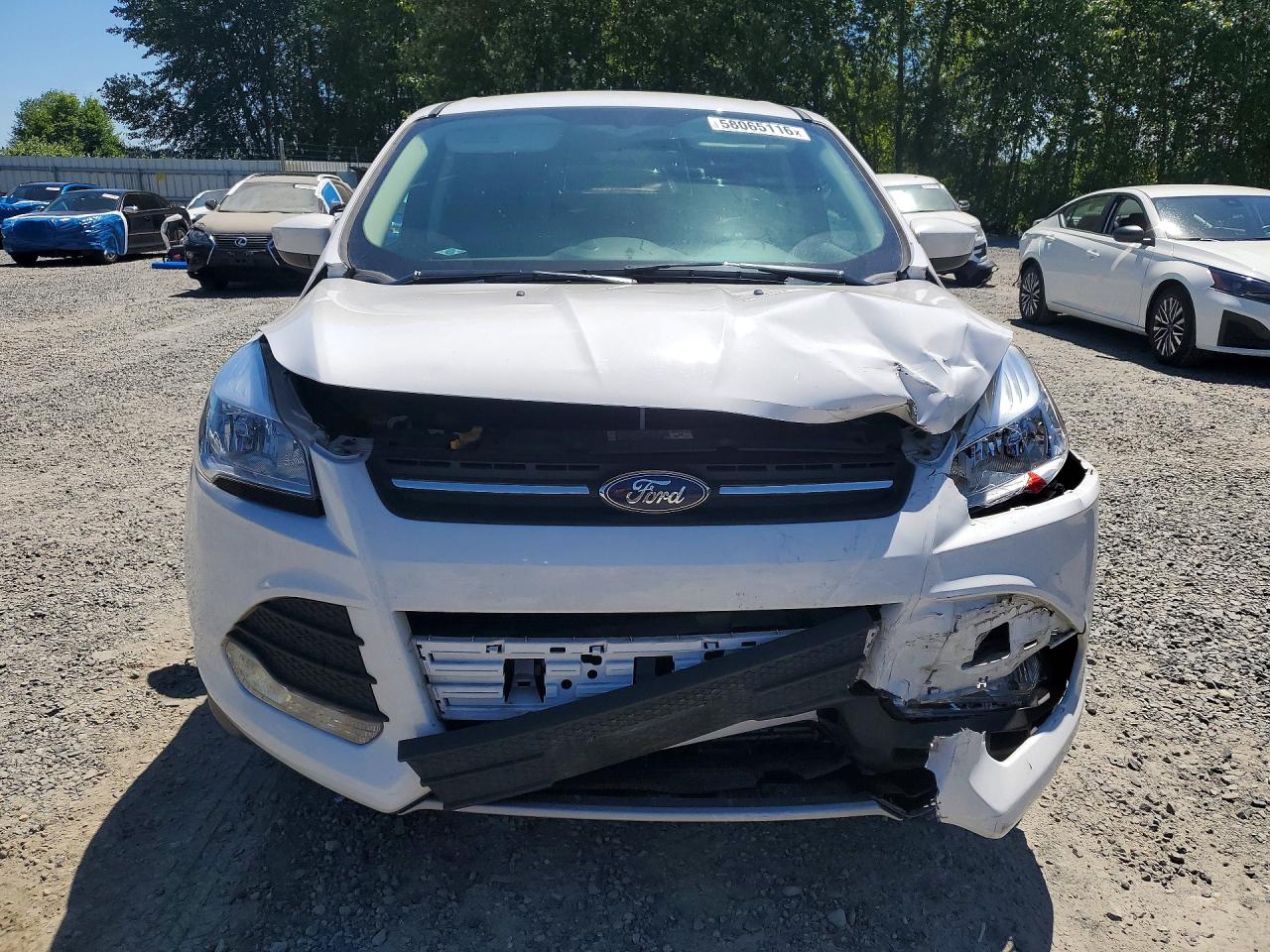 2014 Ford Escape Se White vin: 1FMCU9G93EUB48360