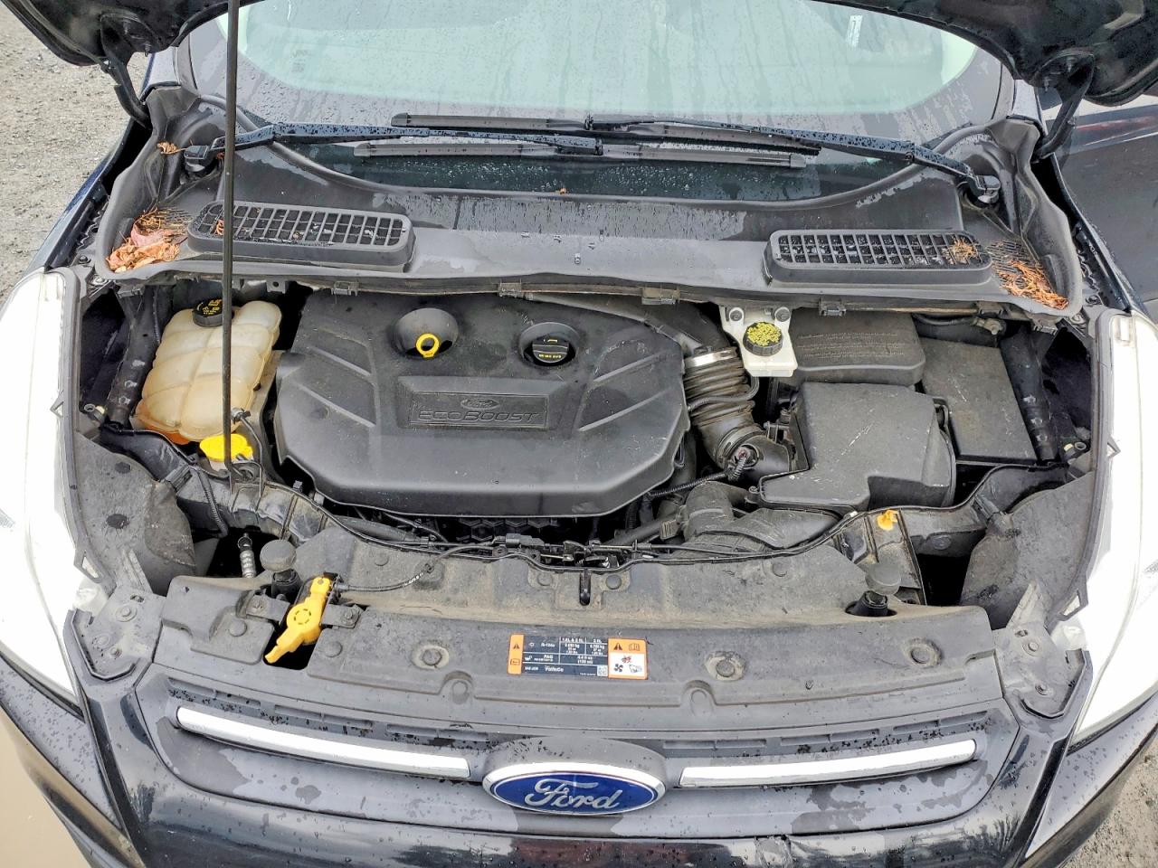 2015 Ford Escape Se Black vin: 1FMCU9G93FUC05660