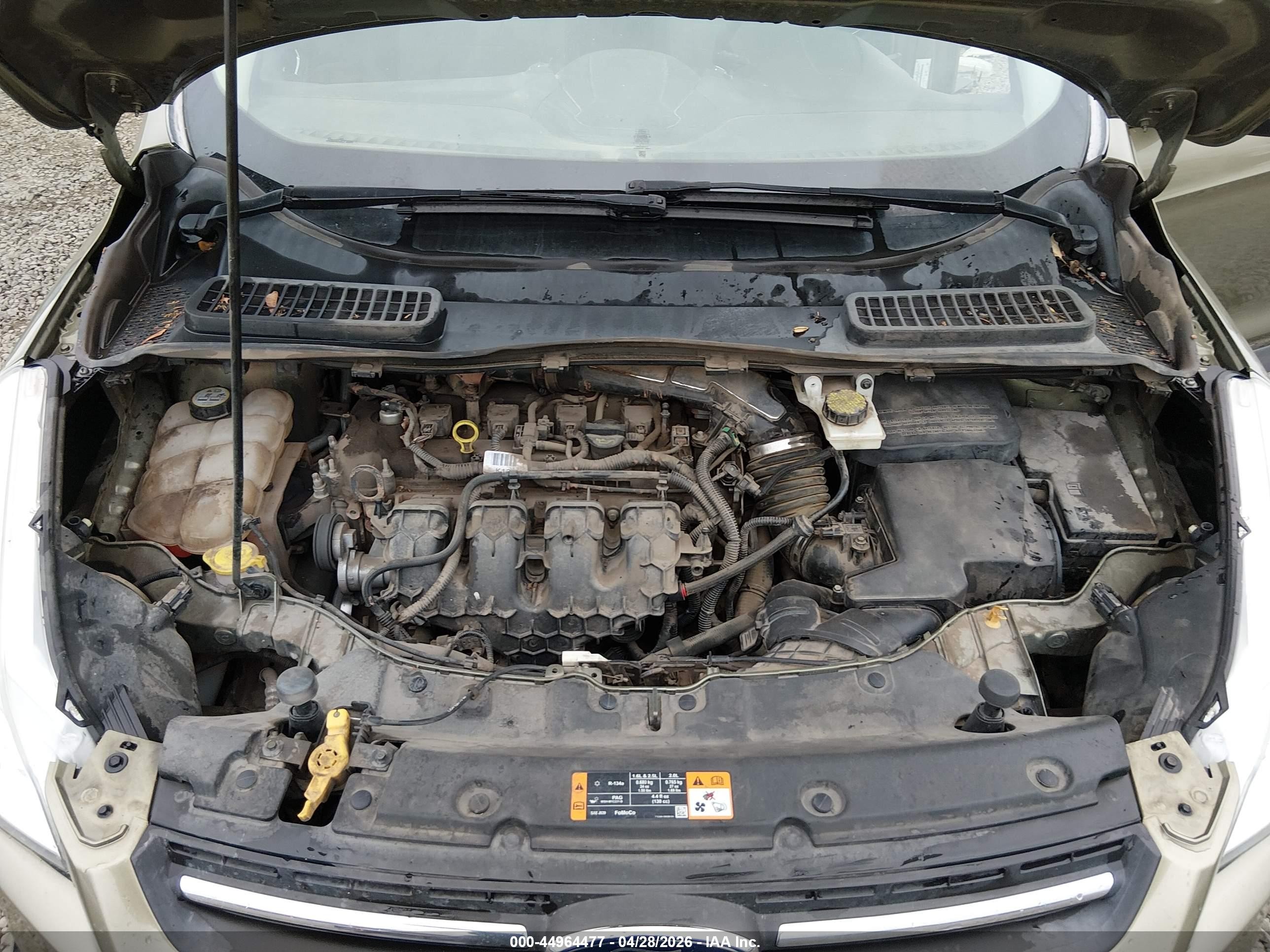 2013 Ford Escape Se Зеленый vin: 1FMCU9G94DUA17887
