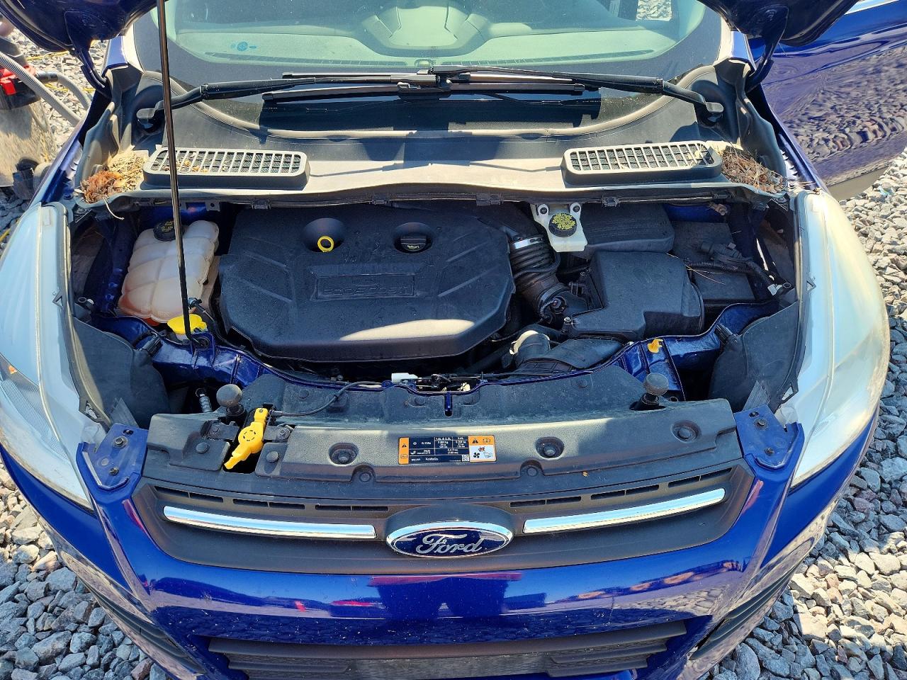2015 Ford Escape Se Blue vin: 1FMCU9G94FUB31004