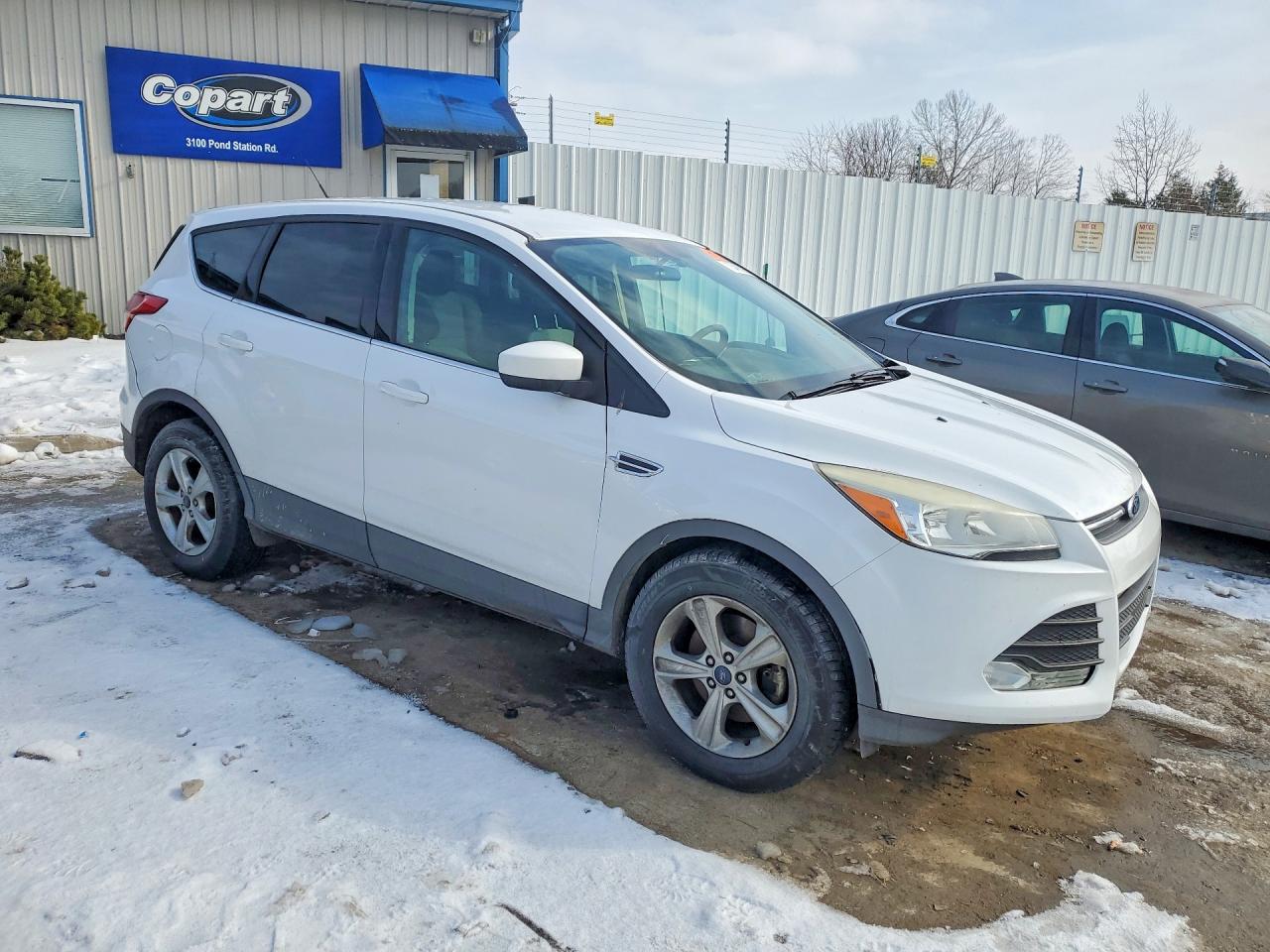 2014 Ford Escape Se White vin: 1FMCU9G95EUC38237