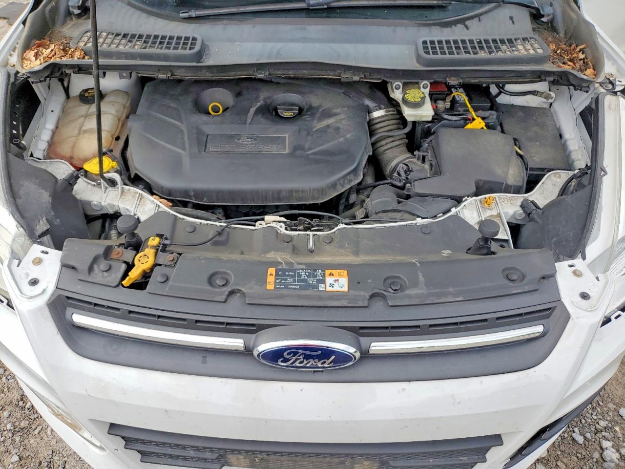 2015 Ford Escape Se White vin: 1FMCU9G95FUA11454