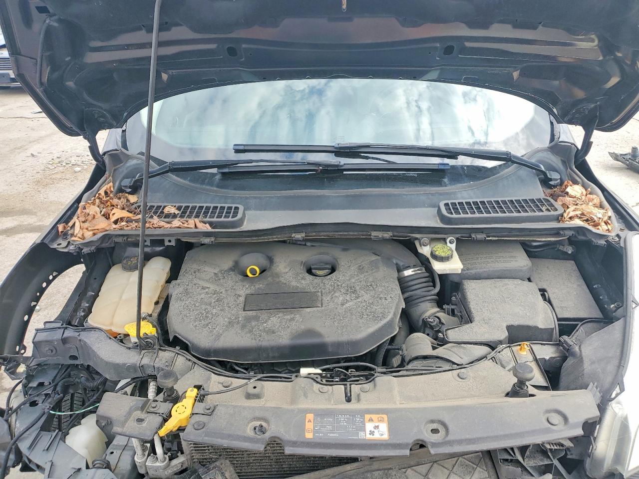 2015 Ford Escape Se Black vin: 1FMCU9G95FUA22146