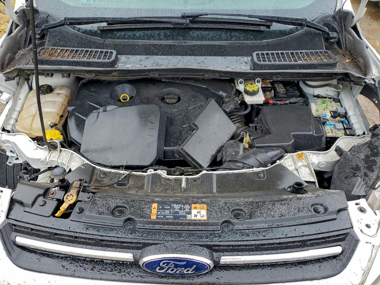 2015 Ford Escape Se White vin: 1FMCU9G96FUC70096