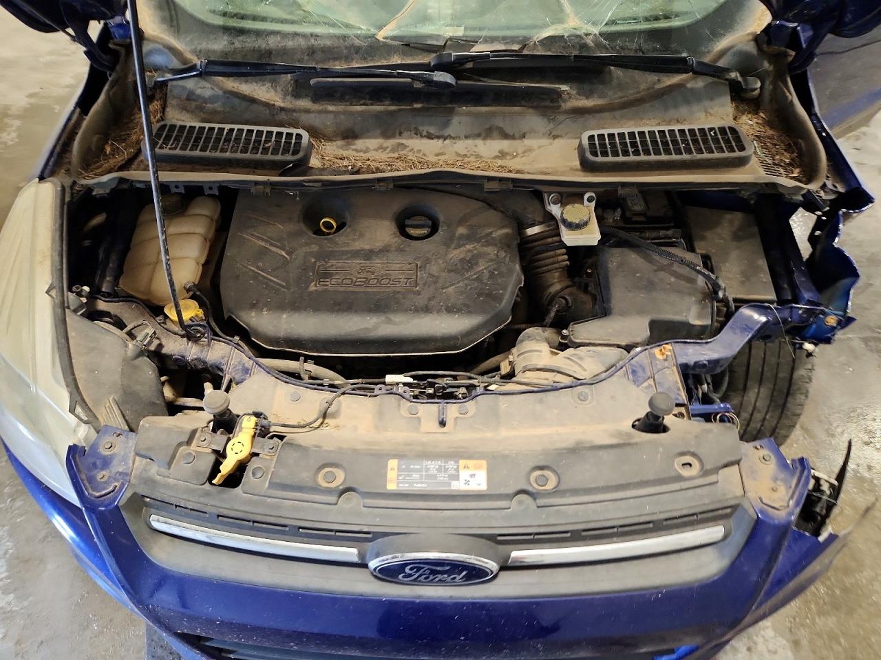 2014 Ford Escape Se Blue vin: 1FMCU9G99EUA71638