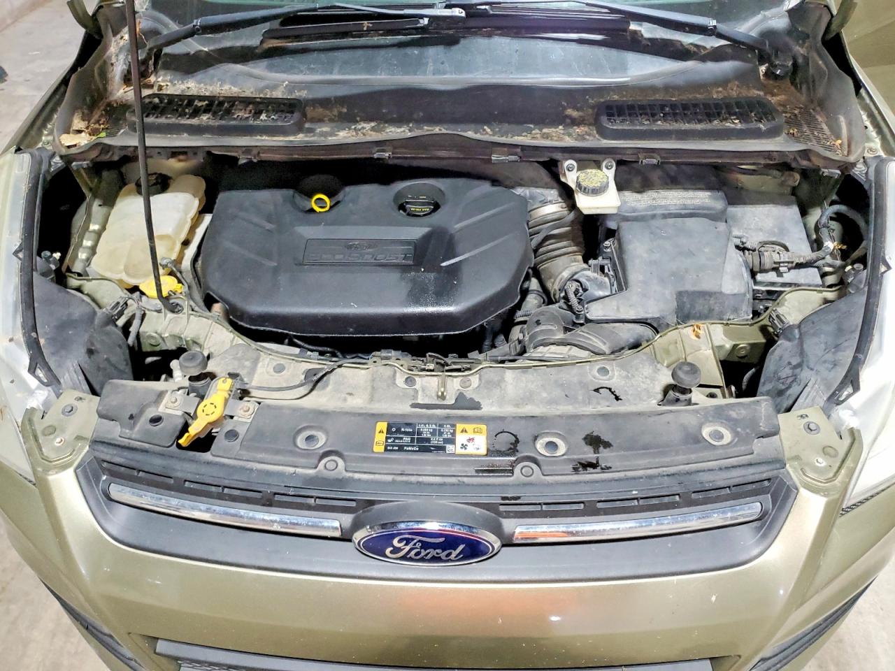 2014 Ford Escape Se Green vin: 1FMCU9G99EUA82428