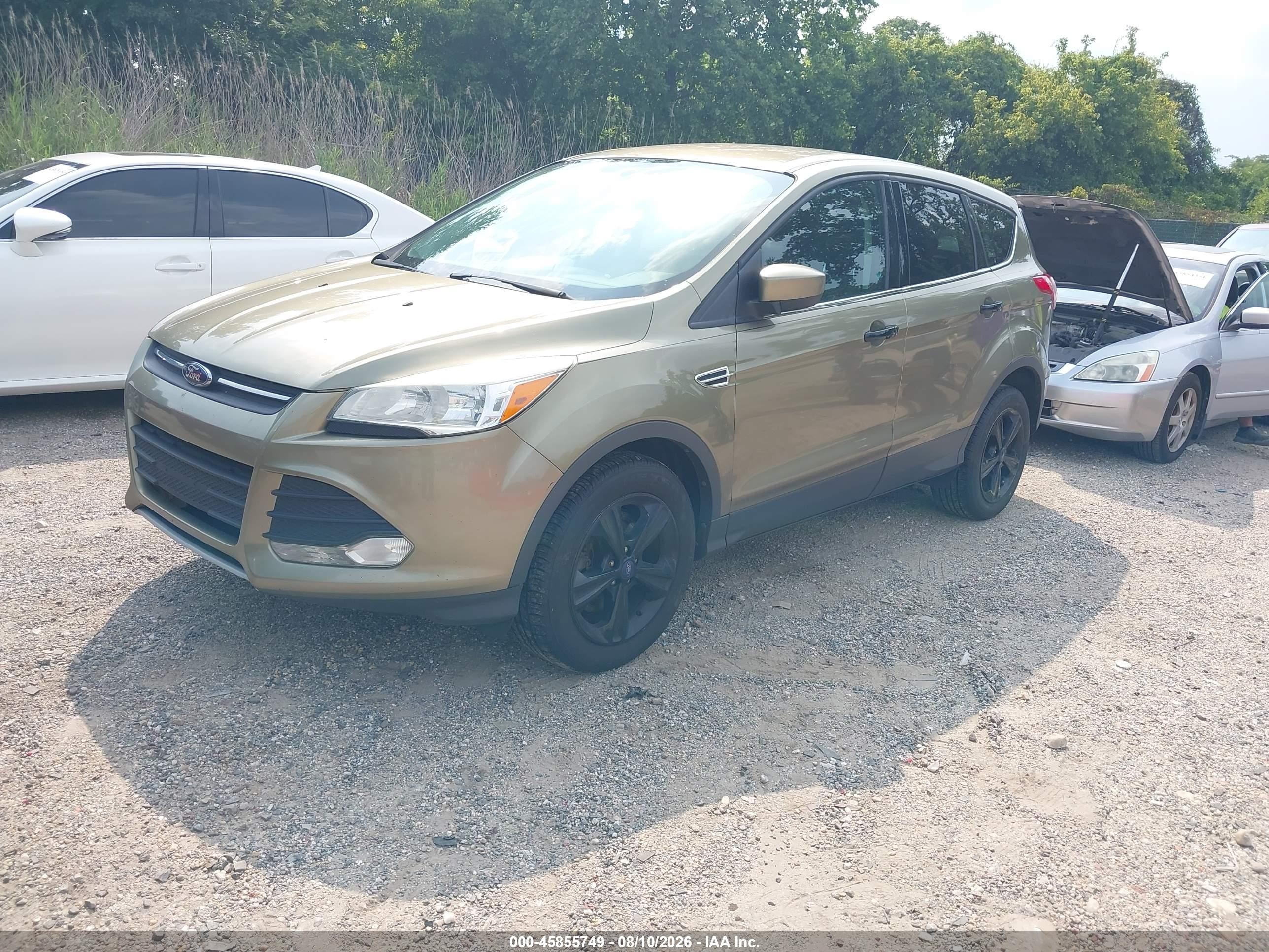 2014 Ford Escape Se Green vin: 1FMCU9G99EUB36584