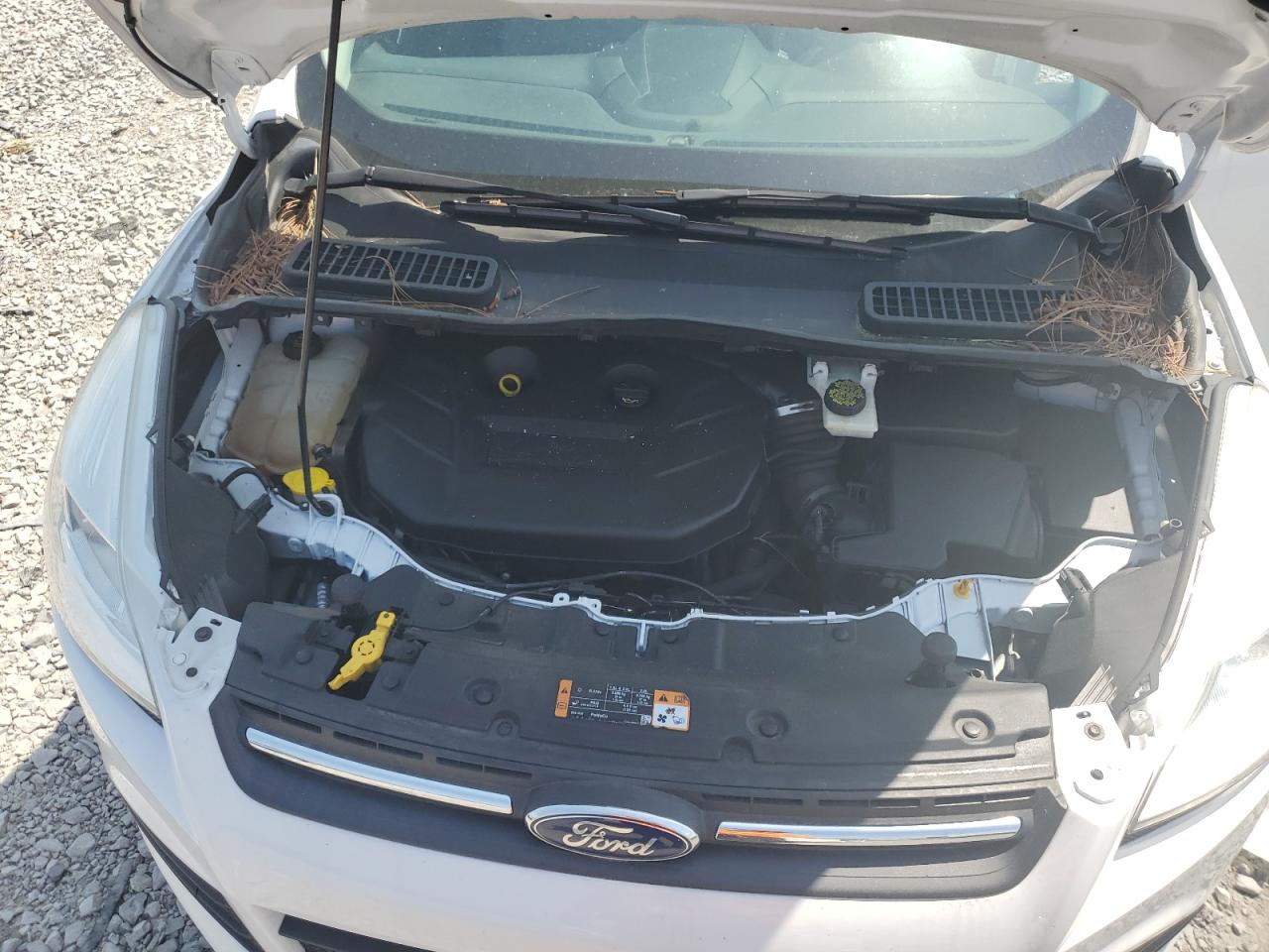 2014 Ford Escape Se White vin: 1FMCU9G99EUE13928