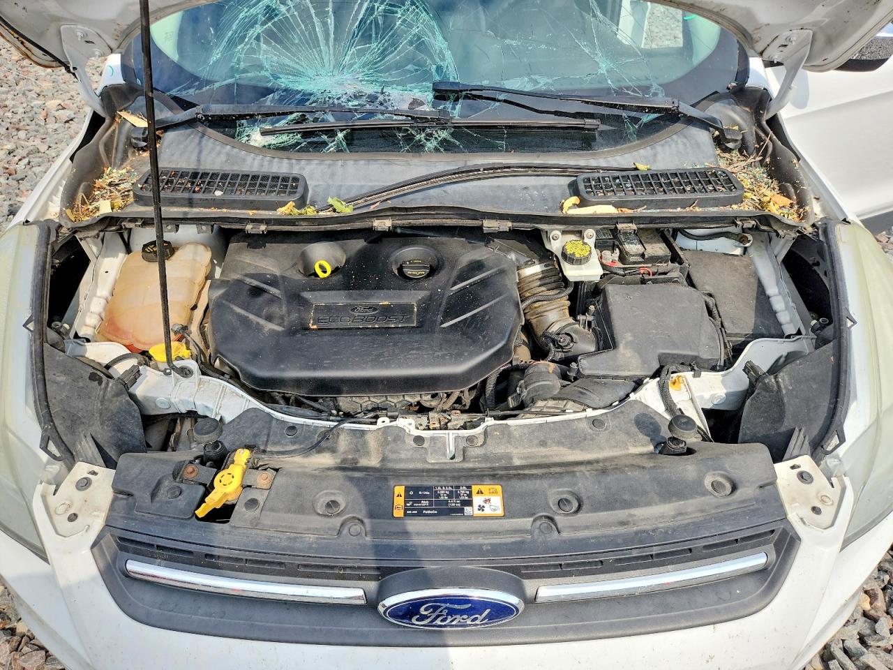 2015 Ford Escape Se White vin: 1FMCU9G99FUB11282