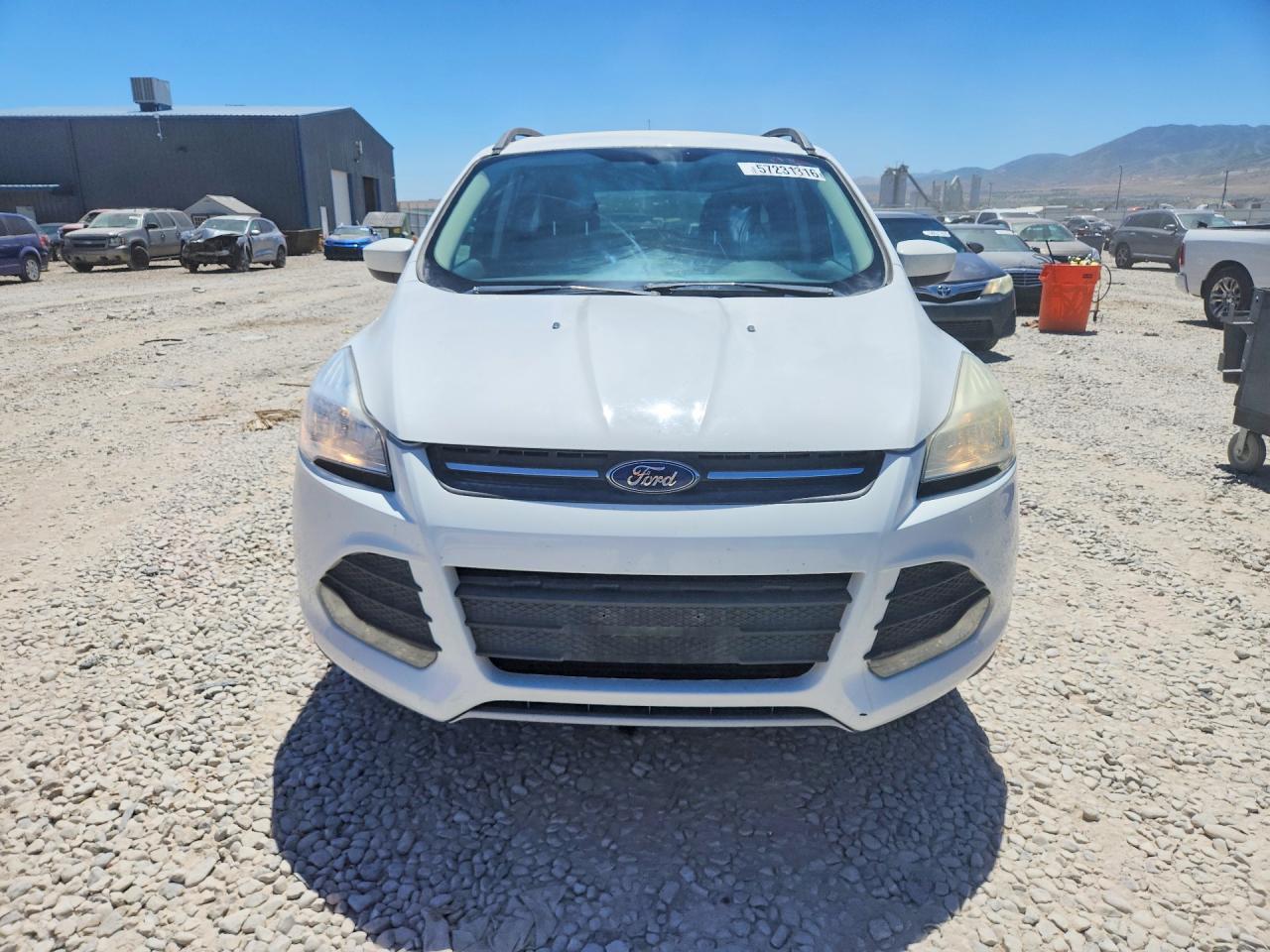 2014 Ford Escape Se Белый vin: 1FMCU9G9XEUC31980
