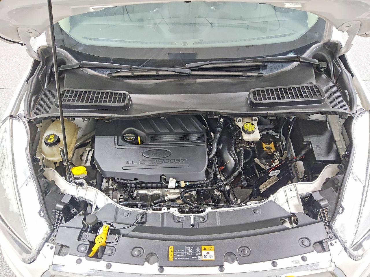 2019 Ford Escape Se White vin: 1FMCU9GD0KUB84989