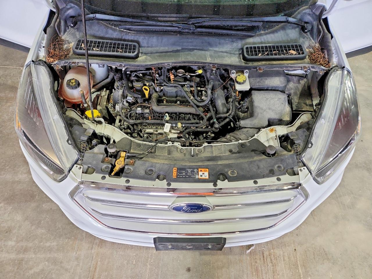 2019 Ford Escape Se White vin: 1FMCU9GD2KUC35831