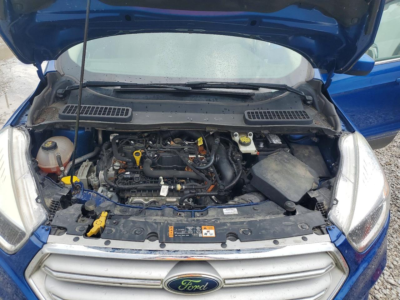 2019 Ford Escape Se Blue vin: 1FMCU9GD8KUB14656