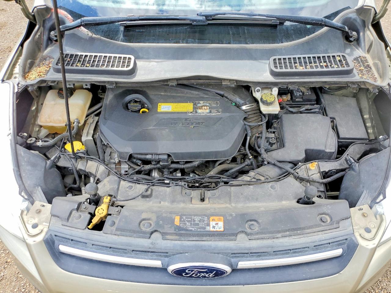 2013 Ford Escape Se Green vin: 1FMCU9GX0DUD44320