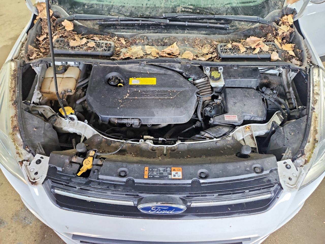 2015 Ford Escape Se Белый vin: 1FMCU9GX0FUC36220