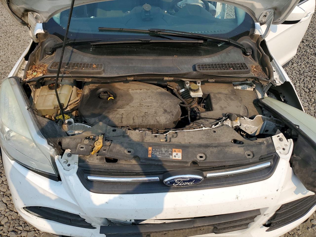 2014 Ford Escape Se White vin: 1FMCU9GX1EUE41592