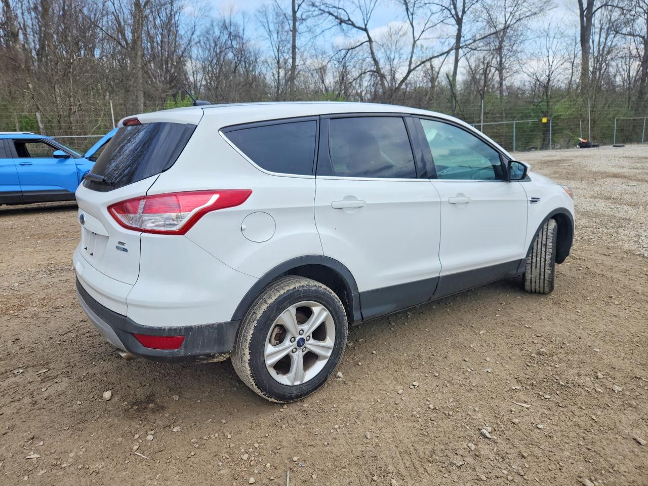 2015 Ford Escape White vin: 1FMCU9GX1FUB17592