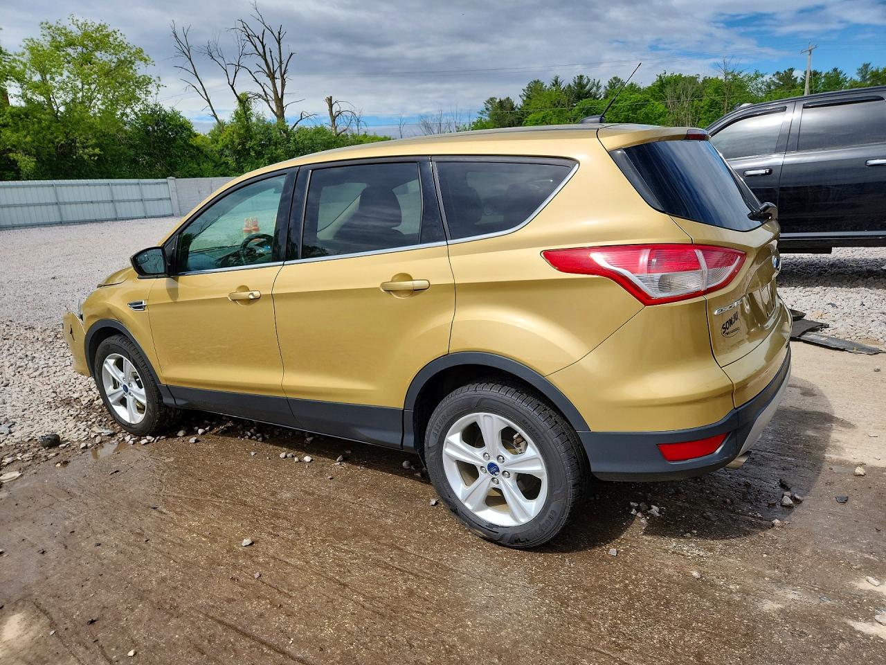 2015 Ford Escape Se Золотой vin: 1FMCU9GX2FUC63175