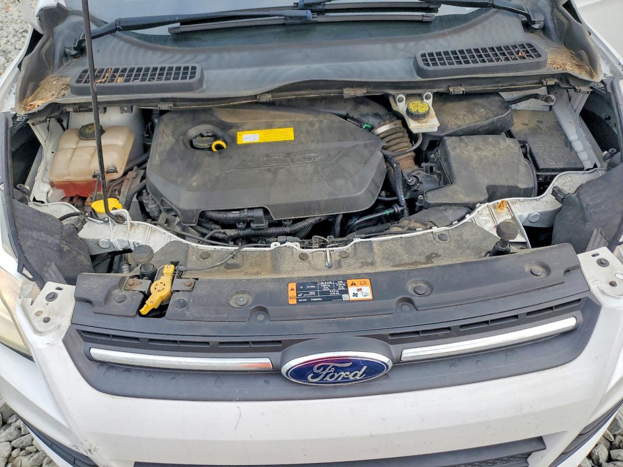 2015 Ford Escape Se Белый vin: 1FMCU9GX3FUC30993