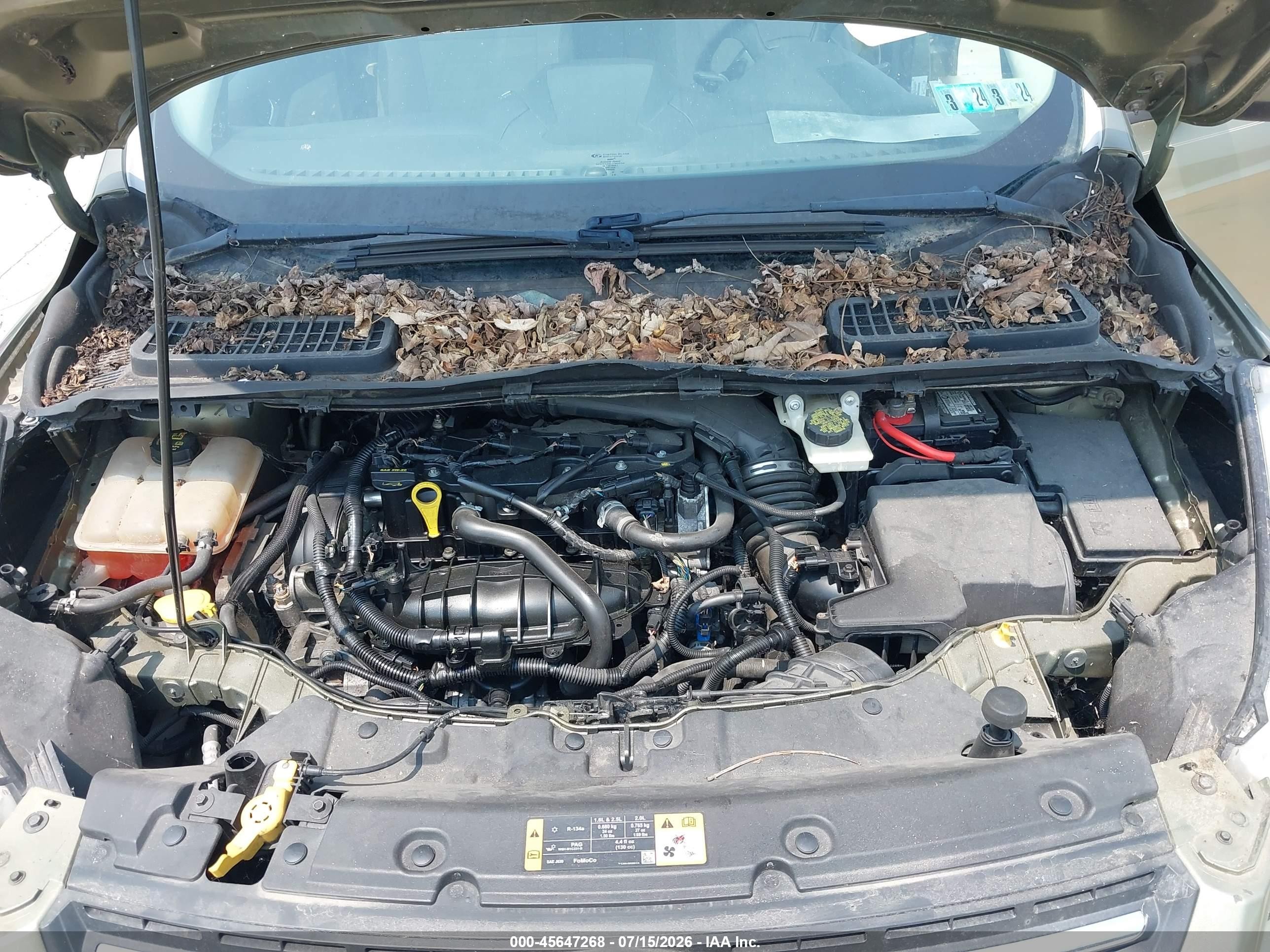 2013 Ford Escape Se Зеленый vin: 1FMCU9GX5DUB88503