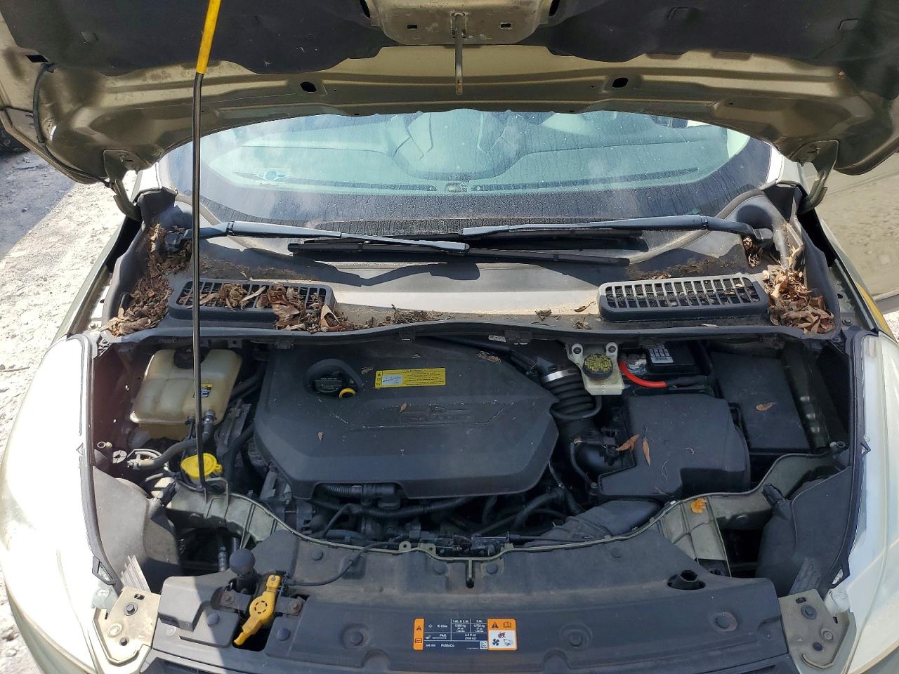 2013 Ford Escape Se Green vin: 1FMCU9GX6DUC90375