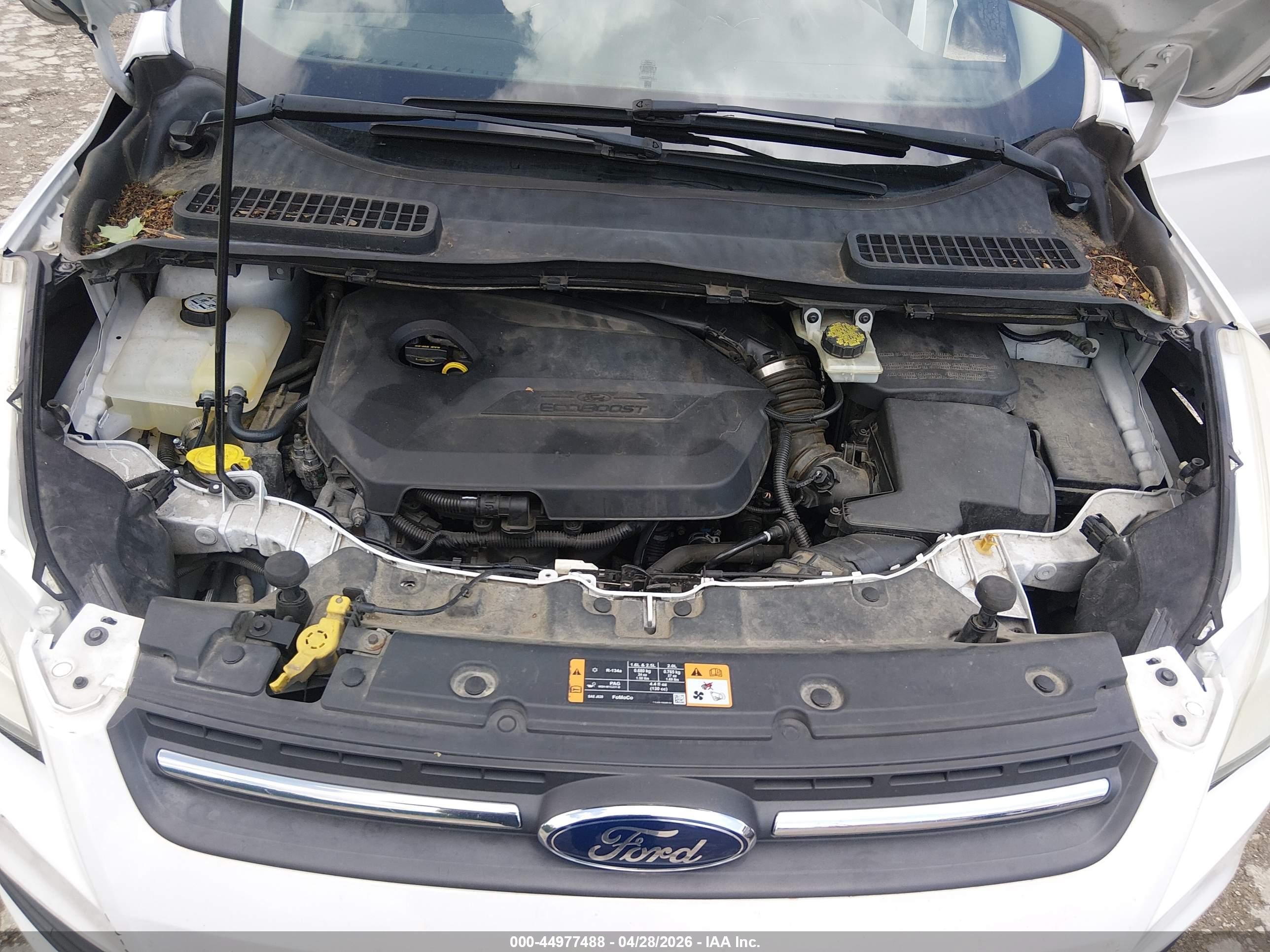 2014 Ford Escape Se Белый vin: 1FMCU9GX6EUD73029