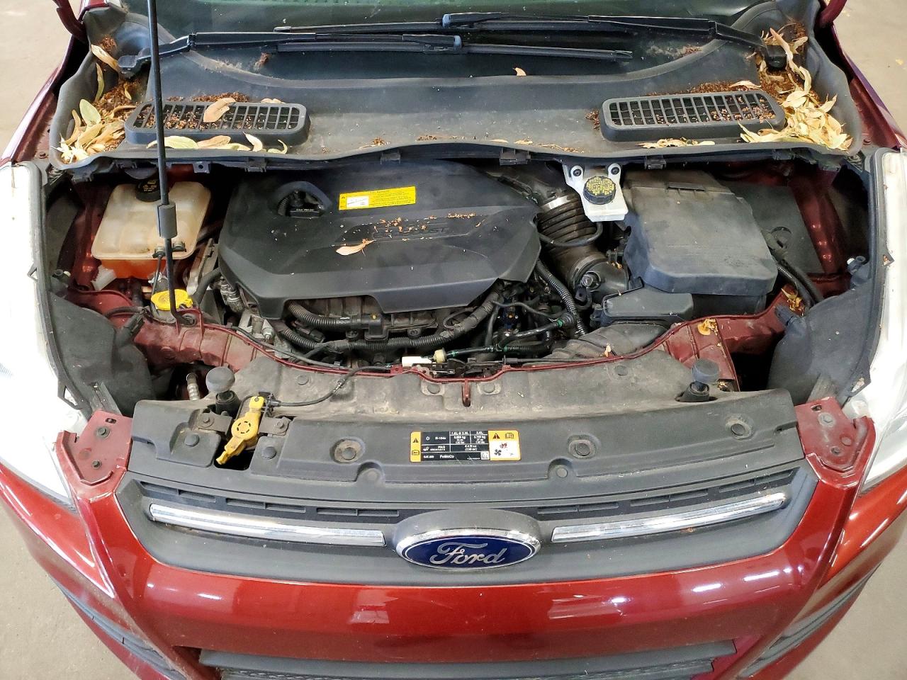 2015 Ford Escape Se Красный vin: 1FMCU9GX6FUB30757