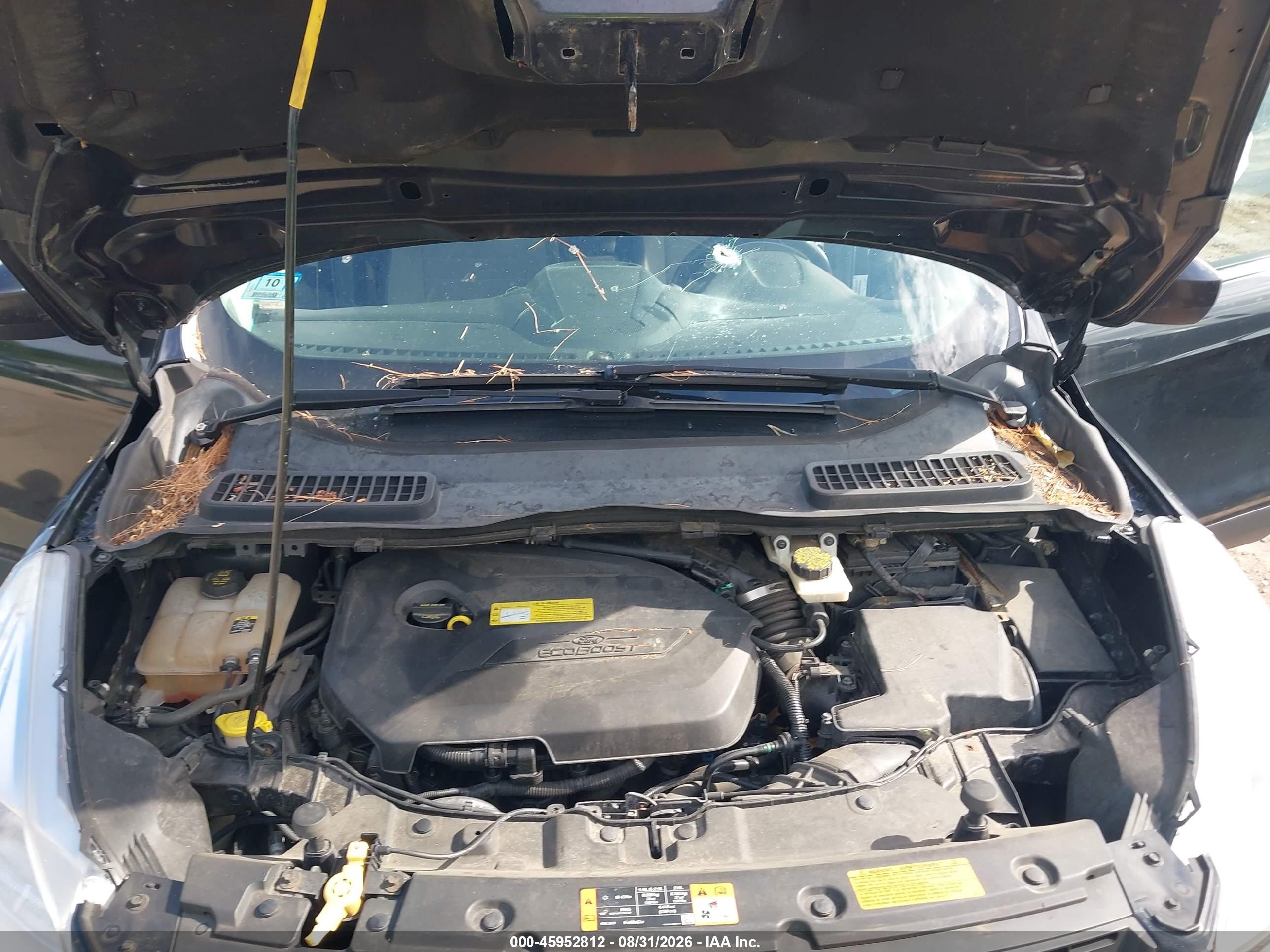 2013 Ford Escape Se Black vin: 1FMCU9GX7DUA06560