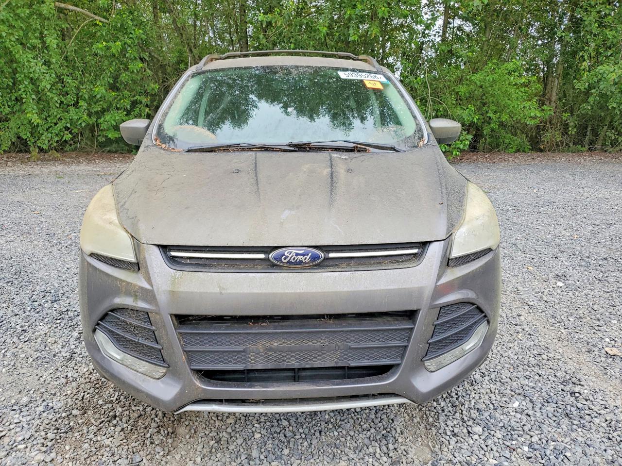 2013 Ford Escape Se Gray vin: 1FMCU9GX8DUC94217