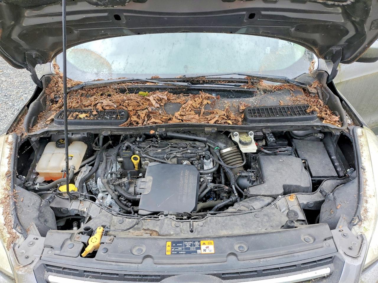 2013 Ford Escape Se Gray vin: 1FMCU9GX8DUC94217