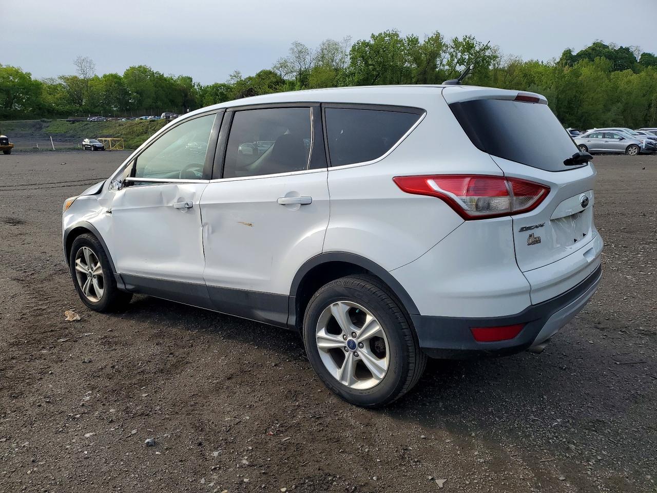 2014 Ford Escape White vin: 1FMCU9GX8EUB65458