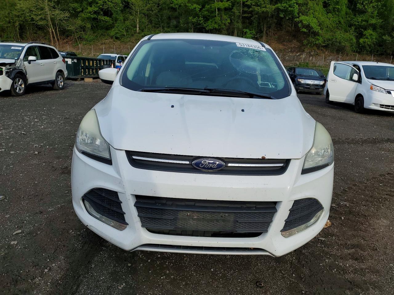 2014 Ford Escape White vin: 1FMCU9GX8EUB65458