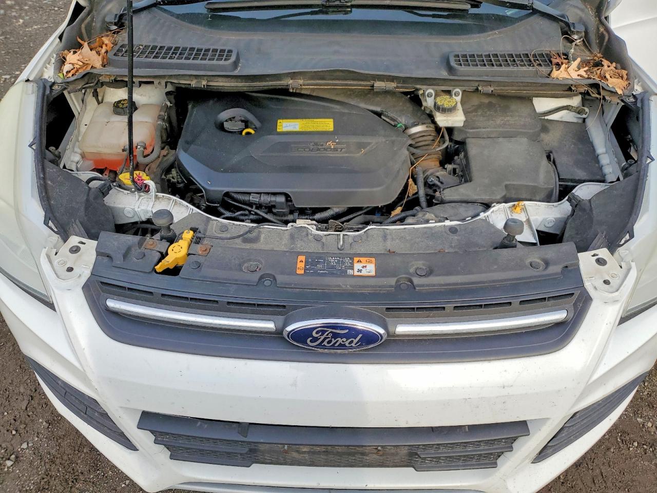 2014 Ford Escape White vin: 1FMCU9GX8EUB65458