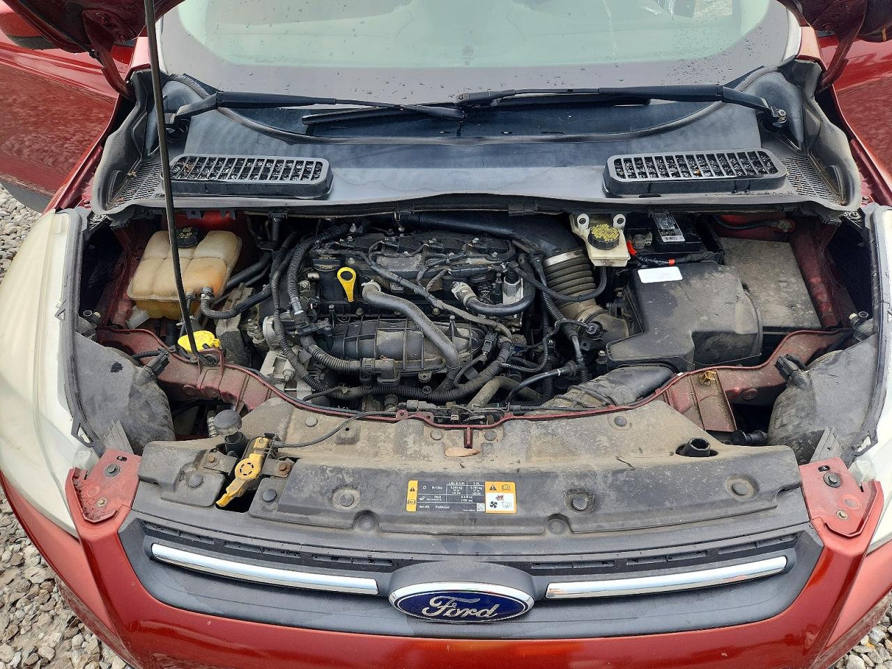 2014 Ford Escape Se Red vin: 1FMCU9GX8EUD42882