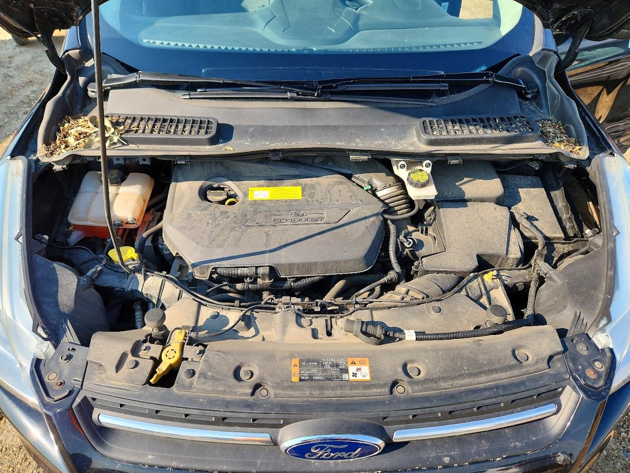 2015 Ford Escape Se Black vin: 1FMCU9GX8FUC50673